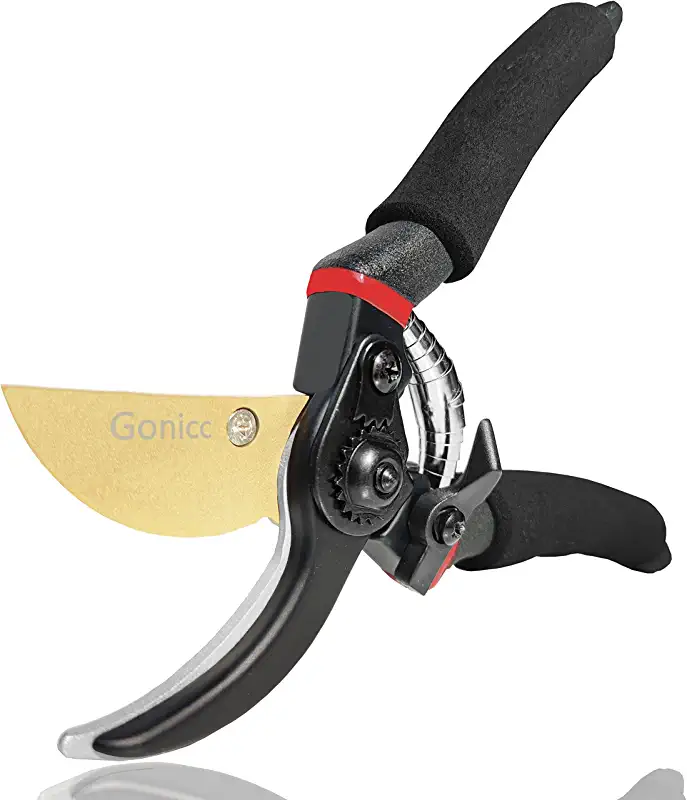 types of pruning shears